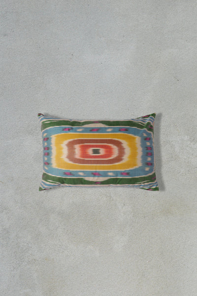 Multicolour Silk Ikat Cushion